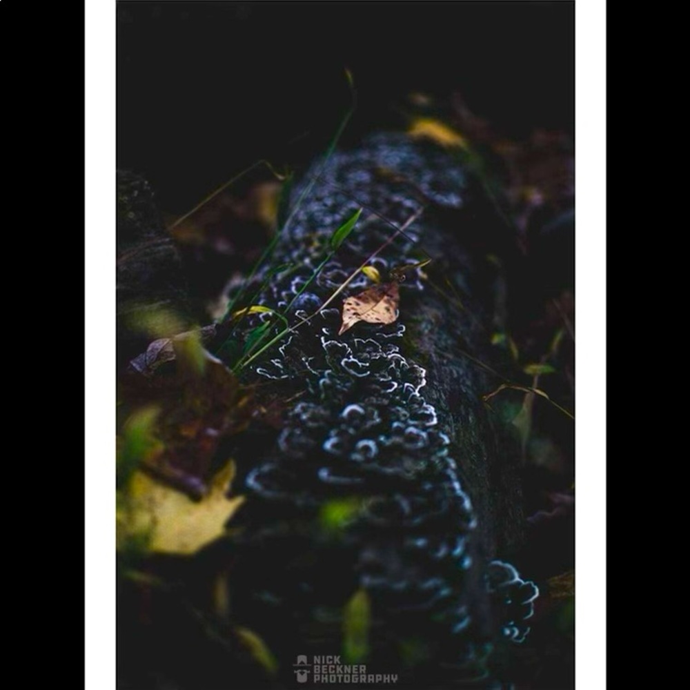 8x12in “Textures” by Nick Beckner Photography